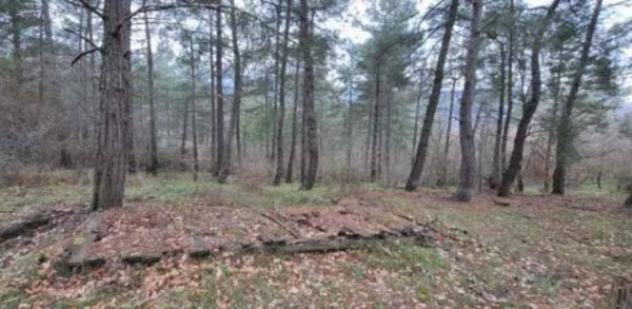 Immobile in asta di 15850 m² in vendita a Piancastagnaio - Foto 4