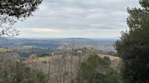 Terreno agricolo in vendita a Montorgiali - Scansano 103300 mq Rif: 1392018