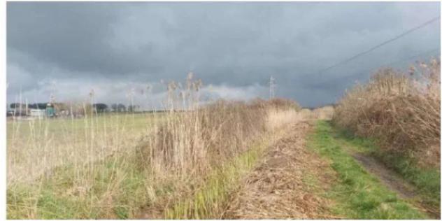 Immobile in asta di 30045 m² in vendita a Viterbo - Foto 3