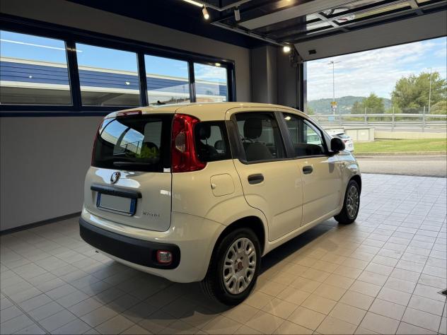 FIAT Panda 1.0 FireFly 70cv S&S Hybrid - Foto 5