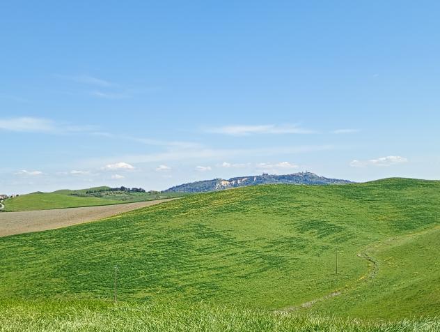 COLONICA di 8 vani e di 800 mq (LAJATICO) rif. L 300 - Foto 10