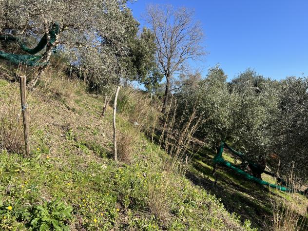 Casa di campagna in Località Torre - Foto 17