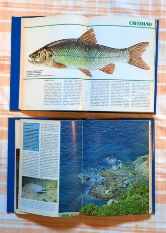 Enciclopedia pratica della pesca - Foto 4