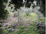 Terreno edificabile in vendita a Acireale