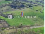 Terreno di 4530 mq  in vendita a Casalciprano - Rif. 4541558