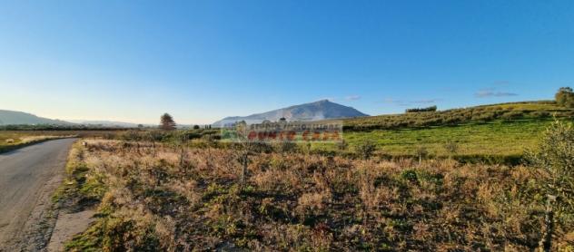 NAPOLA – Terreno agricolo di 23.000 mq ca. Euro 68 MILA - Foto 6