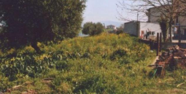 Immobile in asta di 2000 m² in vendita a Roggiano Gravina - Foto 3