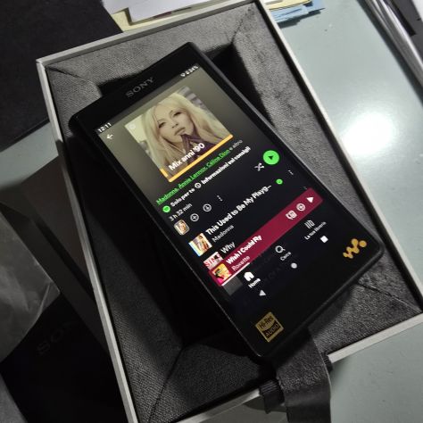 Sony NW-WM1AM2 - Lettore audio Walkman Professionale (altissima qualità) - Foto 10