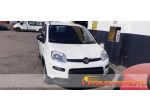 FIAT Panda 1.0 FireFly S&S Hybrid PRONTA CONSEGNA rif. 21555996