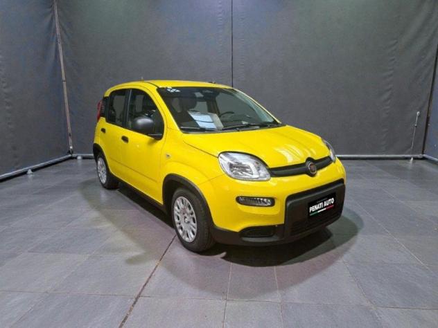 FIAT Pandina Pandina 1.0 firefly hybrid Pop 65cv - Foto 3