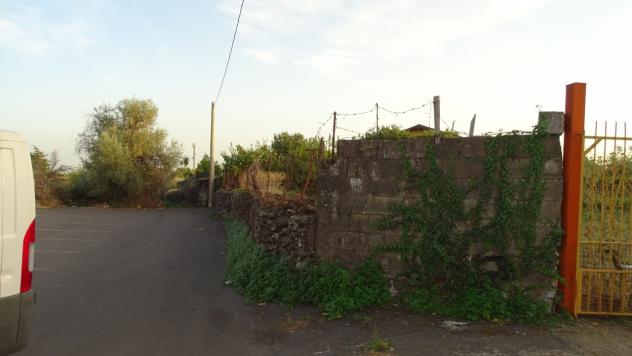 Area verde in vendita a Mascalucia - Foto 7