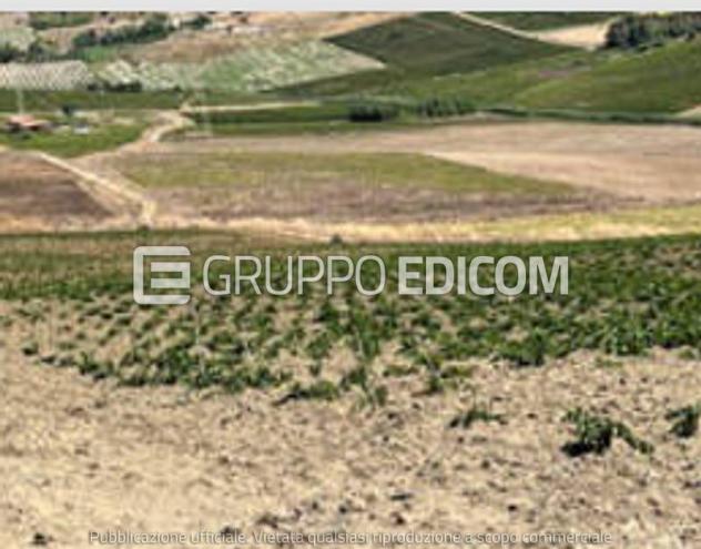 Terreno di 118260 mq in vendita a Monreale - Rif. 4552644 - Foto 2