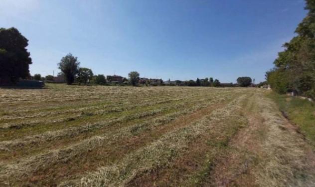 Immobile in asta di 37388 m² in vendita a Novellara - Foto 2