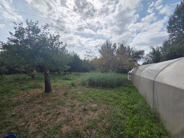 Annesso agricolo in vendita a Castelfranco di Sotto 2600 mq Rif: 1353276 - Foto 3
