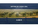 Immobile in asta di 508 m² in vendita a Giffoni Sei Casali