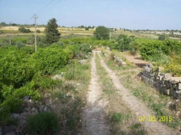 Immobile in asta di 13680 m² in vendita a Noto - Foto 6