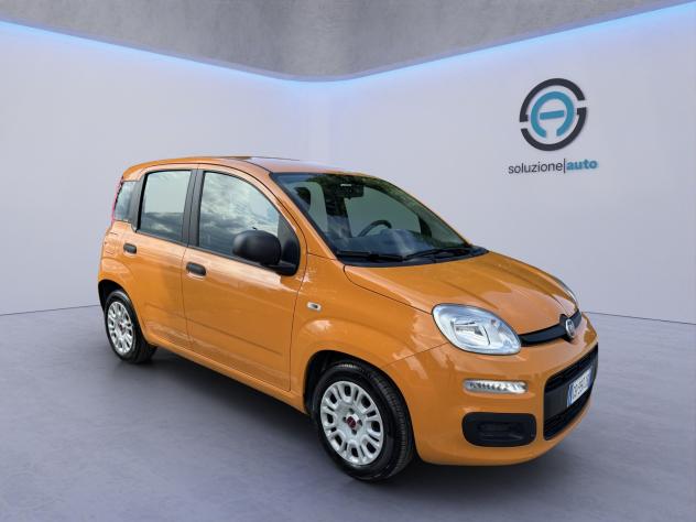 Fiat Panda 1.0 FireFly S&S Hybrid - Foto 8
