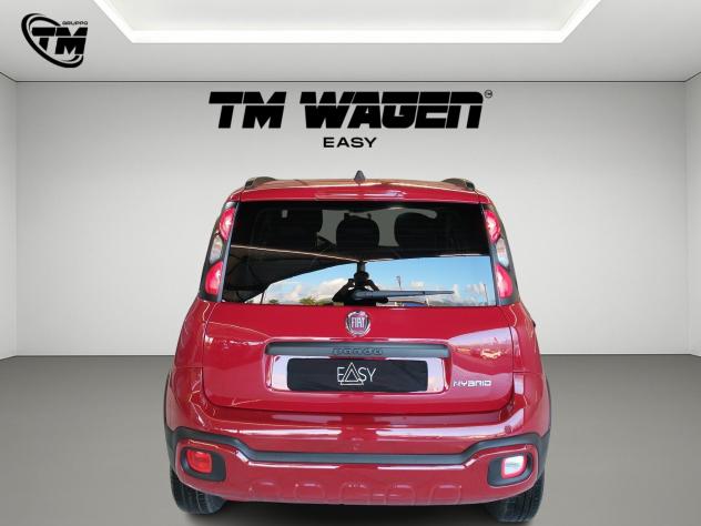 Fiat Panda 1.0 FireFly S&S Hybrid - NEOPATENTATI - Foto 5