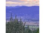 Vigna del Poggio