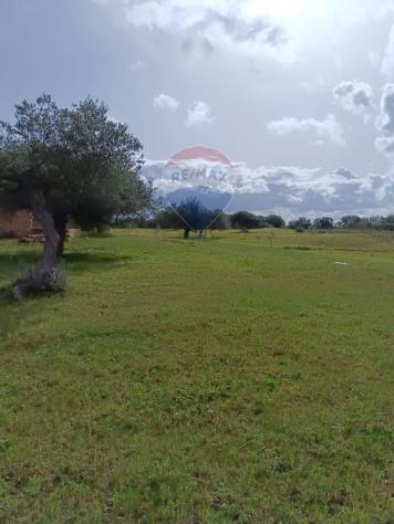 Terreno in vendita a Caltagirone - Foto 7