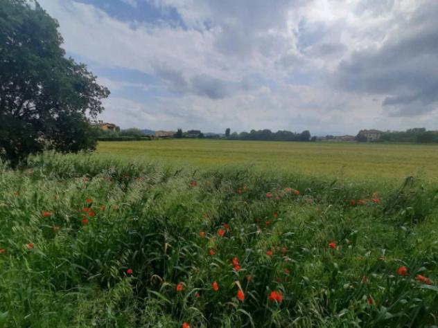 Immobile in asta di 2664 m² in vendita a Cartoceto - Foto 3