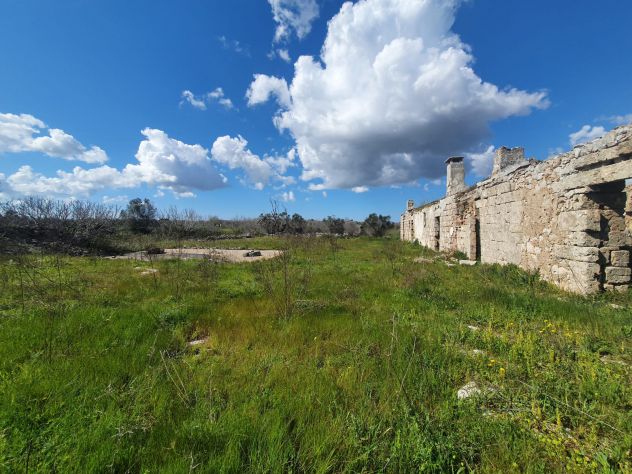 casale con 5 ettari di terreno - Foto 5