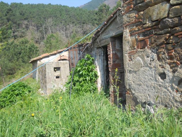 Casale in vendita a Calci 200 mq Rif: 537759 - Foto 4
