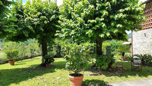 Villa in vendita a Lucca - Foto 9