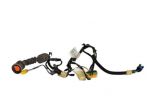 Cablaggio Porta Posteriore Destra Fiat Multipla 51743483 - 07236
