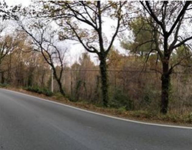 Immobile in asta di 4500 m² in vendita a Albenga - Foto 9