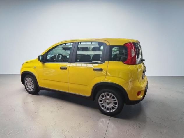 FIAT Pandina Pandina 1.0 firefly hybrid Icon s&s 65cv - Foto 6