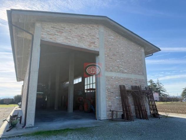 SAN GIORGIO (CAPC78): Capannone uso agricolo con annesso terreno agricolo. - Foto 3