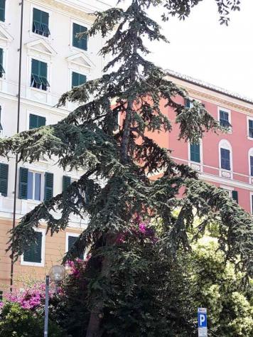 Appartamento in vendita a Genova - Foto 7