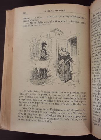 I racconti delle Fate, C. Collodi, Illustrazioni di E. MAZZANTI, BEMPORAD 1921. - Foto 9