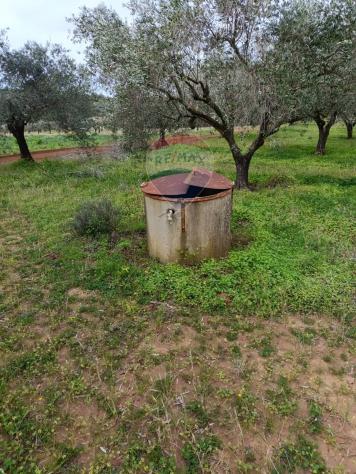 Terreno in vendita a Caltagirone, Santo Pietro - Foto 10