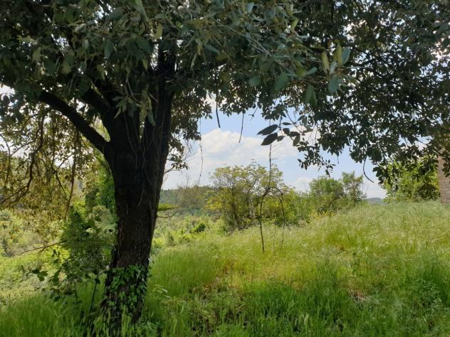 Casale in vendita a Orvieto - Foto 15