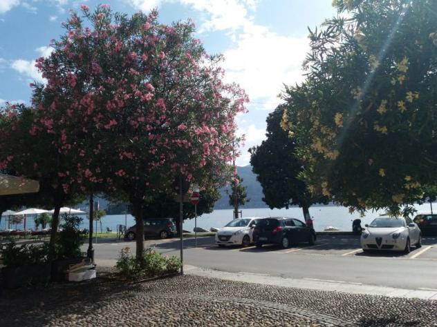 Trilocale in vendita a Verbania - Foto 19