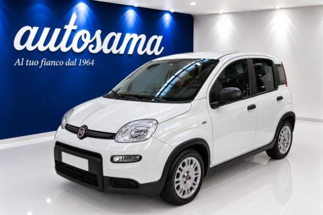 FIAT Panda 1.0 FireFly S&S Hybrid rif. 24216237