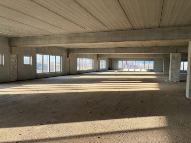 Immobile in asta di 1621 m² in vendita a Crespina e Lorenzana - Foto 20