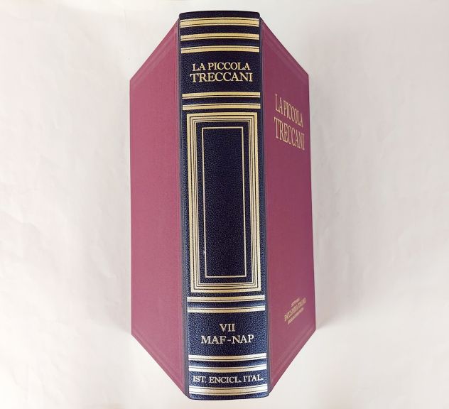 La Piccola Treccani VII MAF-NAP Dizionario enciclopedico Ed.Treccani, Roma 1995