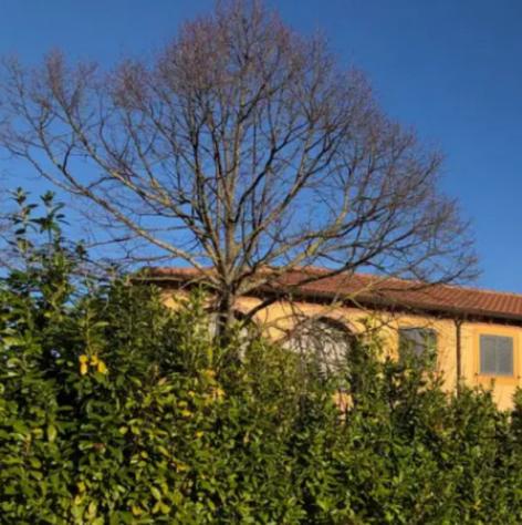 Immobile in asta di 1770 m² con più di 5 locali in vendita a Guardea - Foto 8