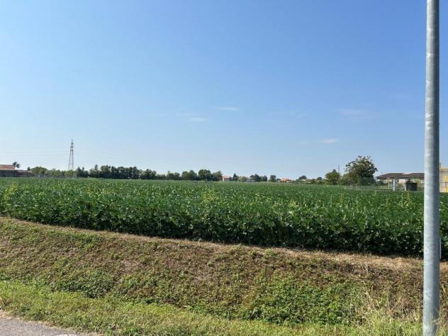 Seminativo in vendita a Castegnero - Foto 18