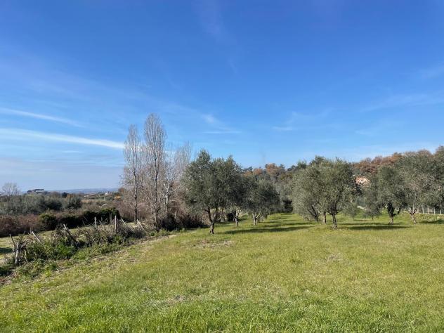 Agricolo in Via della Selva - Foto 7