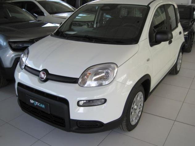 FIAT Panda 1.0 FireFly S&S Hybrid rif. 21416888