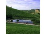 Soc. Agricola Cooperativa La Corte