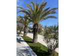 Alba adriatica estate 2026
