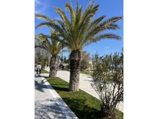 Alba adriatica estate 2026