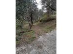 Agricolo in vendita a Arcola