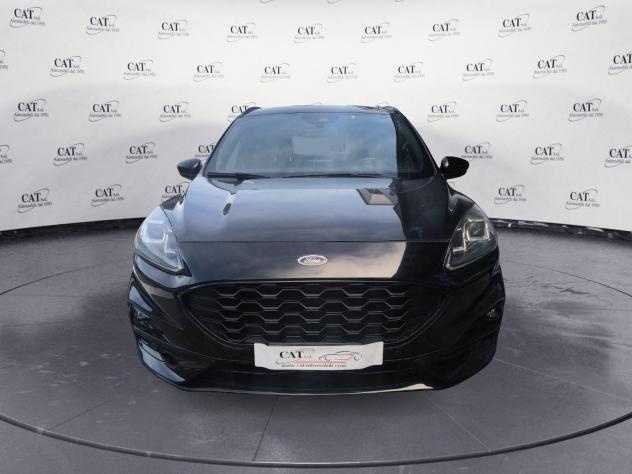Ford Kuga Kuga 2.0 ecoblue ST-Line X awd 190cv auto - Foto 2