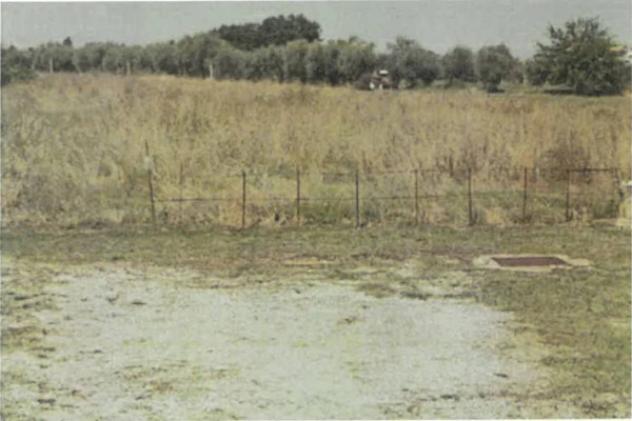 Immobile in asta di 2973 m² in vendita a Sant'Egidio alla Vibrata - Foto 2
